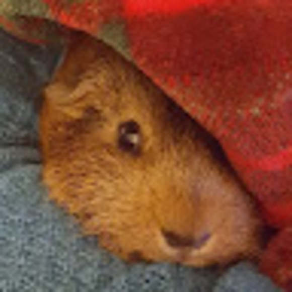 Meet your Posher, Lorraine - Picture 1 of 1